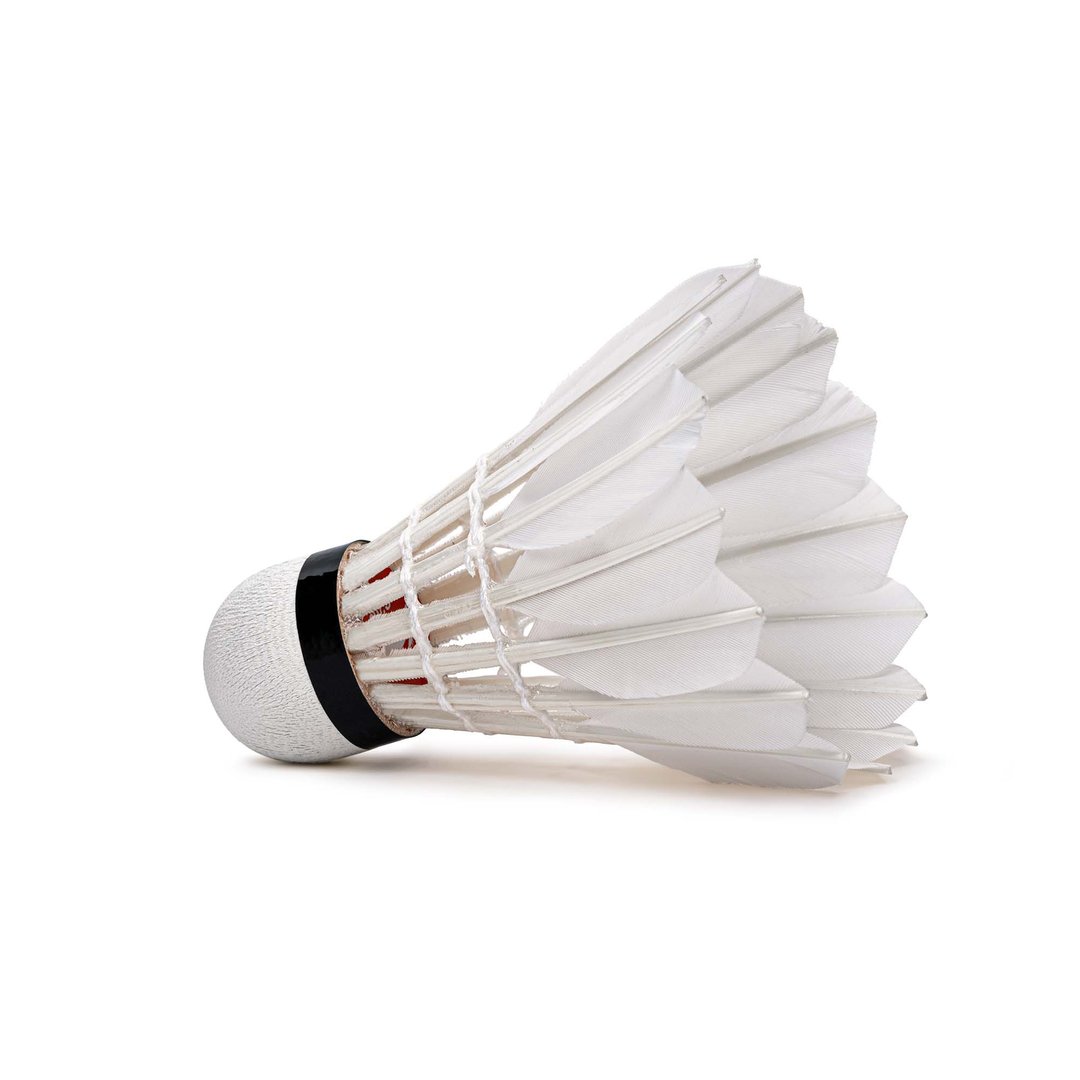 G200 Badminton Feather Shuttlecock