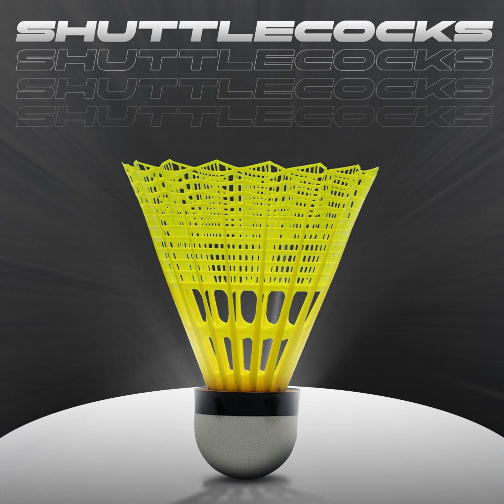 Li-Ning Shuttlecock